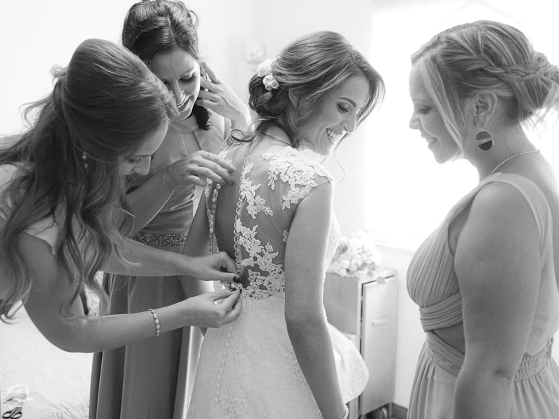 Boris The Cat - Wedding Photography