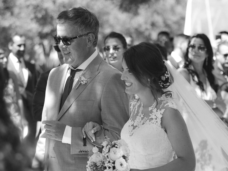 Boris The Cat - Wedding Photography