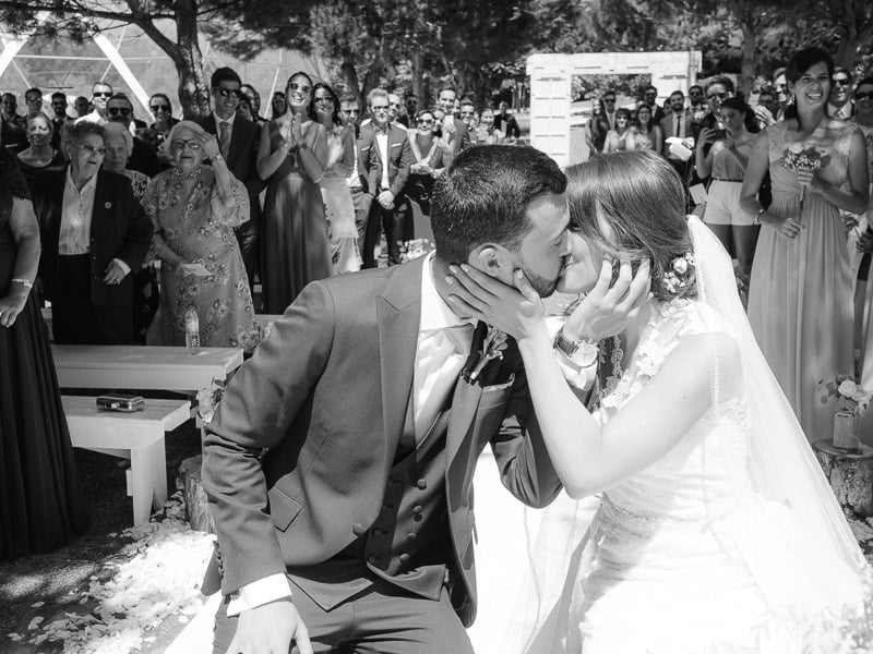 Boris The Cat - Wedding Photography