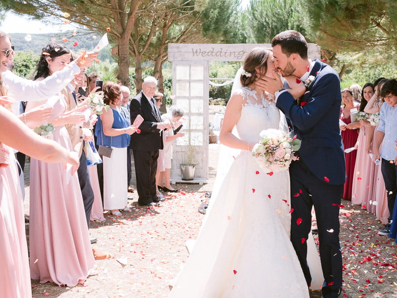 Boris The Cat - Wedding Photography