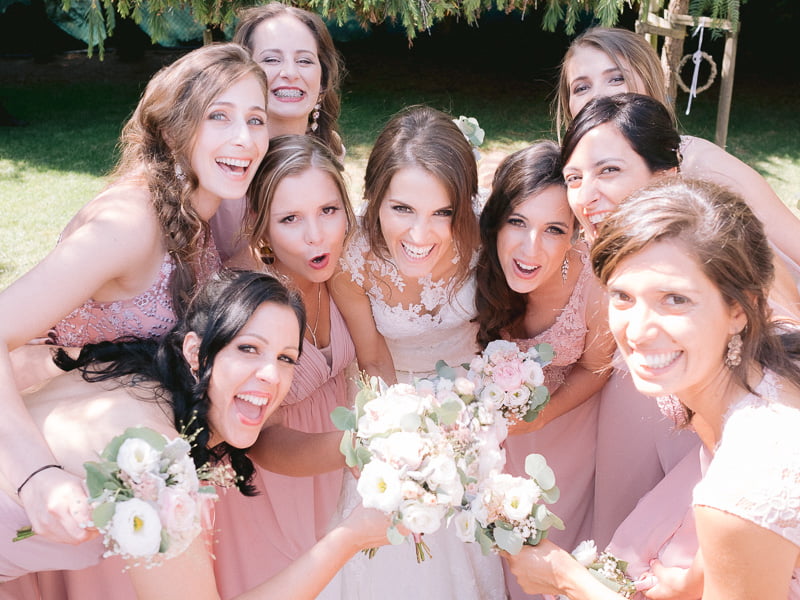 Boris The Cat - Wedding Photography