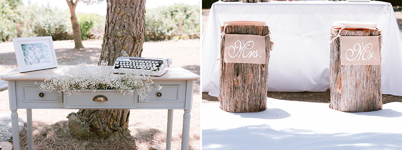 Boris The Cat - Wedding Photography