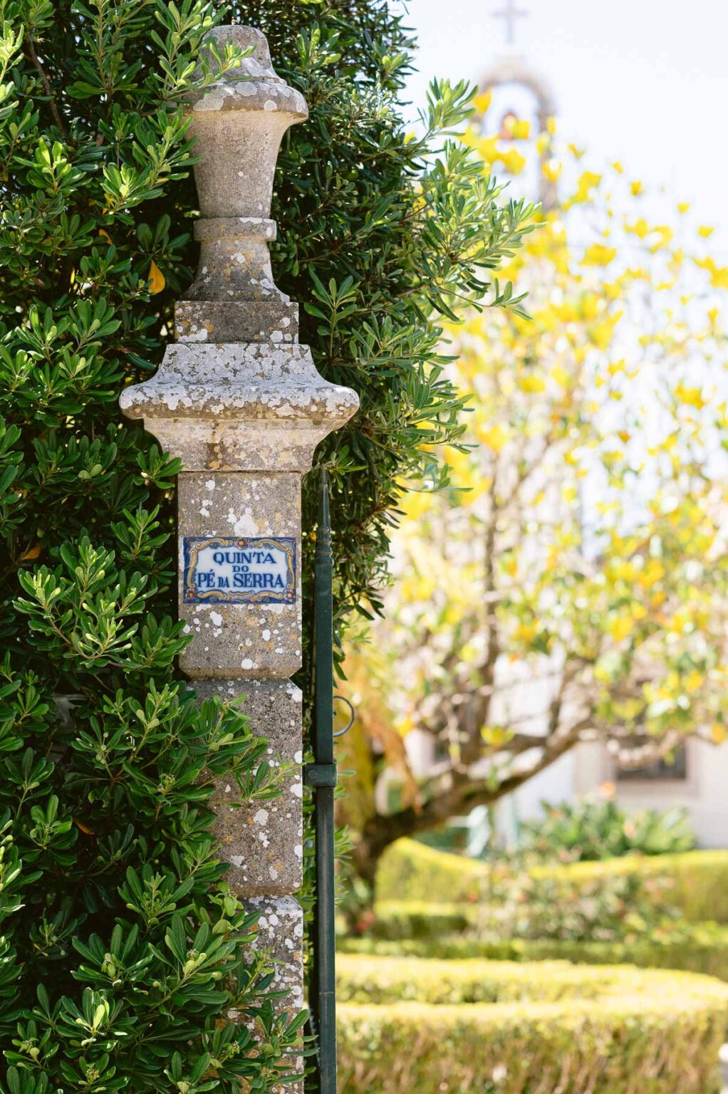 Casamento na Quinta do Pé da Serra - Colares | por Boris the Cat wedding photography