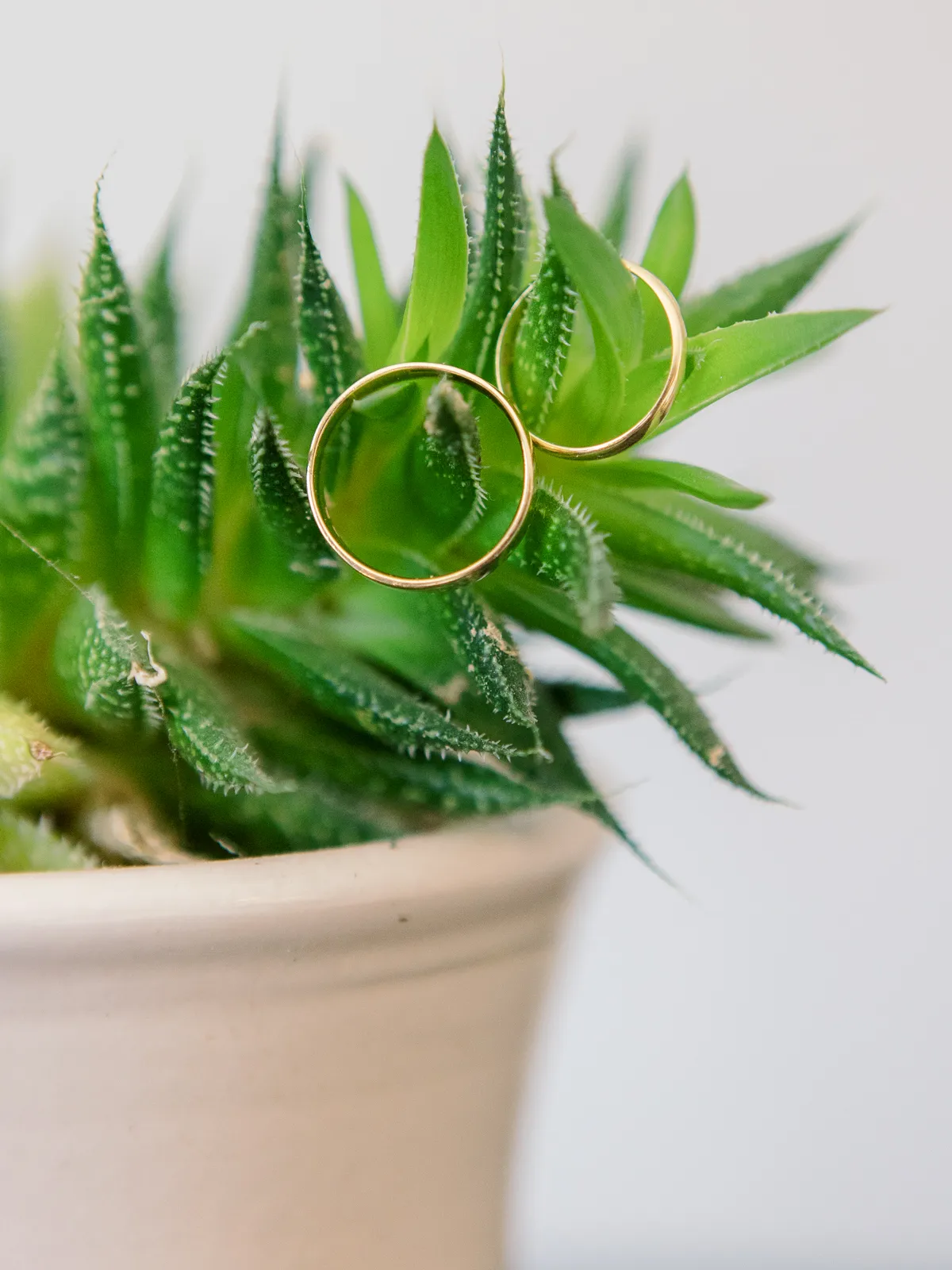 0014 20230805 wed i+b