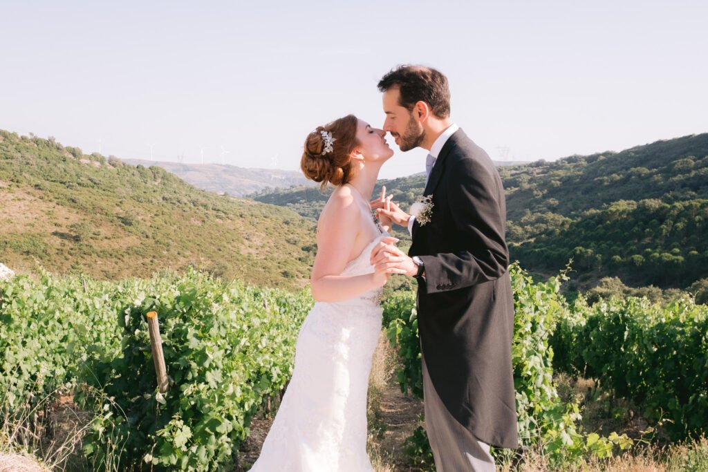 casal de noivos com paisagem de vale e vinhas