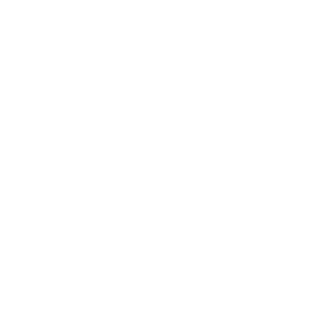 Selo branco circular oficial da Boris the Cat com a inscrição tipográfica Fine Art & Documentary Weddings since 1999.